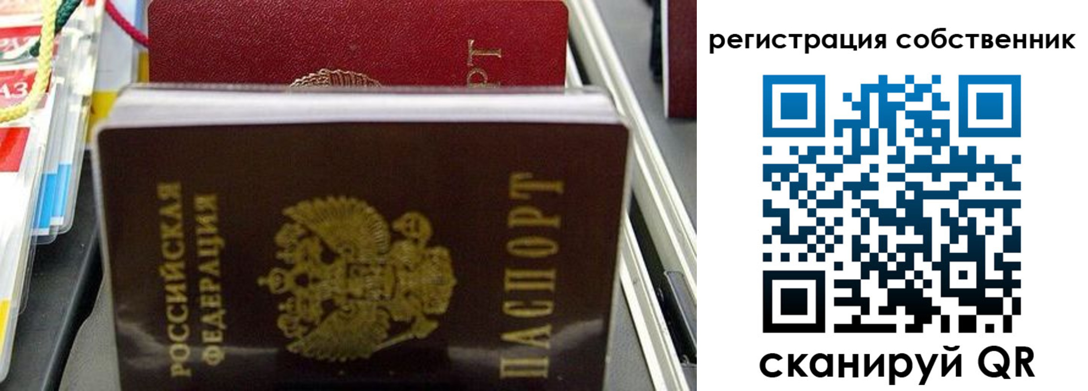 временная регистрация поиск в Мытищах